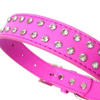 2-reihiges Halsband-Leinenset – Hot Pink