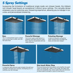 High-Pressure Rainfall Shower Head Combo – 10-Mode Handheld Sprayer & Adjustable Extension Arm