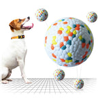Dentalreinigungs-Hundespielball