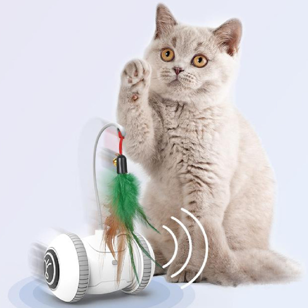 Ultimativer interaktiver Katzenspielkamerad