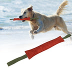 Hund beißt Stock