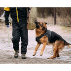 Beißarm für Hunde, professionelles Hunde-Trainingsset