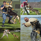 Beißarm für Hunde, professionelles Hunde-Trainingsset