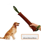 Hund beißt Stock